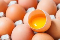 1756920948940-kuning-telur-1752722546199_169
