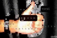 1756964627012-gambar-ilustrasi-soal-video-viral-nan-mesum-danu-damarjatidetikcom_169