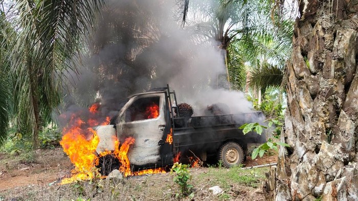 1761348050902-mobil-pencuri-sawit-dibakar-massa-1761309470657_169