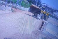 1761392083810-pekerja-pabrik-tewas-terlindas-kendaraan-berat-1761362941752_169