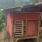 1761500210130-kandang-ternak-warga-yang-diserang-beruang-di-tanggamus-1761466181961_169