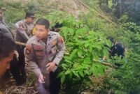 1761543598589-polisi-saat-mengevakuasi-potongan-tubuh-bayi-yang-diduga-dimutilasi-dan-dibuang-di-bibir-ngarai-sianok-kota-bukittinggi-antara-1761448137341_169