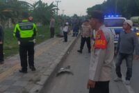 1761565336612-kecelakaan-di-palembang-1761543484682_169