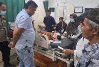 1761759500475-petani-diserang-beruang-1761734711056_169