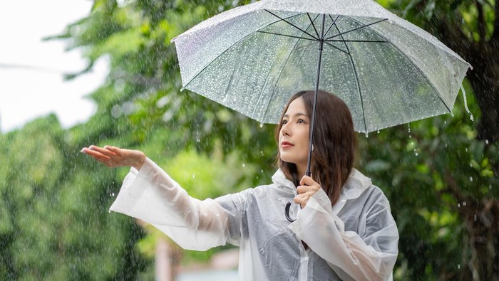 1761780225975-ilustrasi-hujan_169