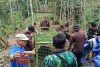 1761824606535-bengkulu-tengah-1761806155227_169