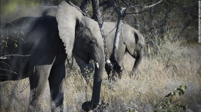 1761824704684-574c9ba1-3791-403e-ad3d-6789bb08eeaa_169