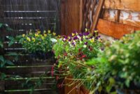 1761866552150-ilustrasi-tanaman-terkena-hujan_169