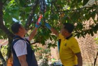 1761911011488-polisi-olah-tkp-lokasi-bunuh-diri-yang-dilakukan-pria-di-lubuklinggau-1761890731632_169