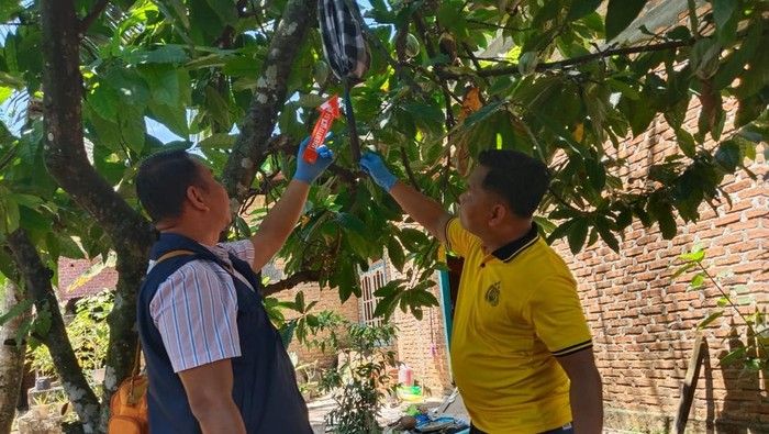 1761911011488-polisi-olah-tkp-lokasi-bunuh-diri-yang-dilakukan-pria-di-lubuklinggau-1761890731632_169