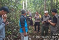 1761911027848-pihak-bksda-saat-turun-ke-lokasi-kejadian-serangan-beruang-madu-ke-petani-karet-1761835745550_169