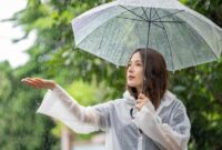 1761953082993-ilustrasi-hujan_169