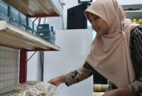 1762429626392-ukmk-1762403793949_169