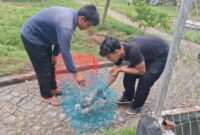 1762515580674-penyitaan-hewan-1762506783518_169