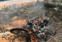 1762601843785-motor-maling-sawit-di-muaro-jambi-jambi-dibakar-warga-usai-kepergok-mencuri-1762569832069_169
