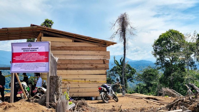 1762666818703-kawasan-hutan-di-bengkulu-yang-diamankan-kemenhut-1762602334263_169