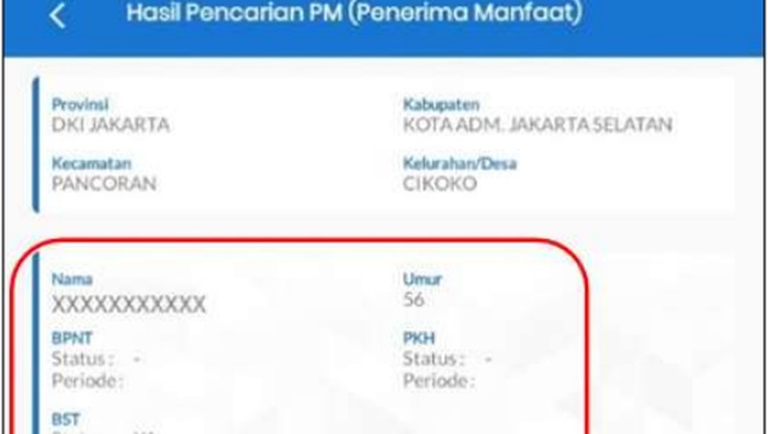 1762666872270-tangkapan-layar-penerima-bansos-kemensos_169