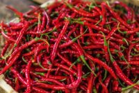 1762709746756-cabai-merah-keriting-1751433088956_169