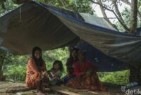 1763184921922-lebih-dekat-dengan-suku-anak-dalam-19_169