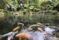 1763358265126-green-paradise-salah-satu-objek-wisata-yang-ada-di-pagar-alam-dengan-konsep-menyatu-dengan-alam-1763271361157_169