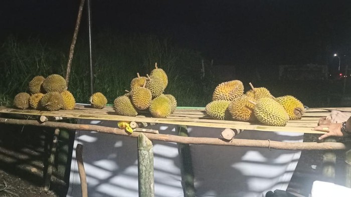 1763358319707-durian-empat-lawang-dijual-di-pinggir-jalan-oleh-petani-1763259559725_169