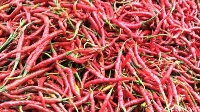 1763571953223-ilustrasi-cabai-merah-1757307340955_169
