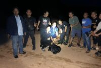 1764241578399-penikaman-1764227780573_169