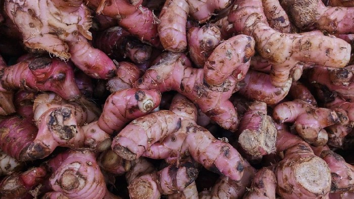 1764392811124-jahe-merah_169