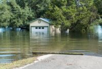 1764479125191-cf089fbe-d525-4744-831e-4f2ddd481264_169