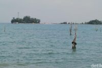 1764673613360-ilustrasi-banjir-rob-1_169