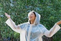 1764803121427-ilustrasi-jas-hujan_169