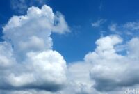 1765062295643-ef5fb211-3b99-40f7-af8a-9a9dafe9a49b_169