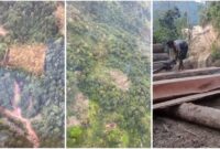 1765127141712-penampakan-hutan-di-pesisir-barat-yang-menjadi-lokasi-pembalakan-liar-1765098725599_169