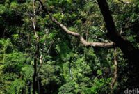 1765170368555-d3be2db7-a812-4bd6-9689-e510c430b980_169