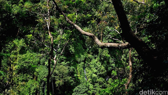 1765170368555-d3be2db7-a812-4bd6-9689-e510c430b980_169