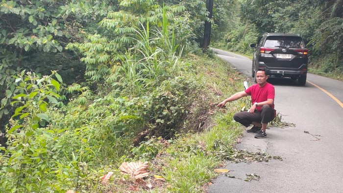 1765191951323-lokasi-mobil-kecelakaan-tunggal-masuk-jurang-di-perbatasa-merangin-kerinci-1765168883842_169