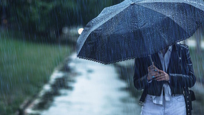 1765321482300-ilustrasi-hujan_169