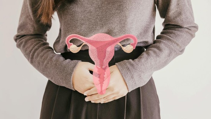 1765343172843-virus-hpv-jadi-penyebab-utama-penyakit-kanker-serviks-1763391268668_169