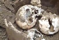 1765386353958-penemuan-tiga-tengkorak-kepala-manusia-di-bengkulu-1765362008140_169