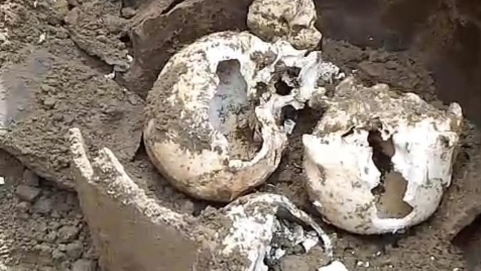 1765386353958-penemuan-tiga-tengkorak-kepala-manusia-di-bengkulu-1765362008140_169