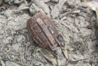 1765429608673-granat-nanas-yang-ditemukan-nelayan-bangka-barat-1765378082423_169