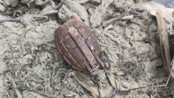 1765429608673-granat-nanas-yang-ditemukan-nelayan-bangka-barat-1765378082423_169