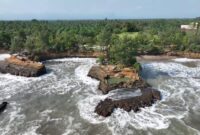 1765559145161-keindahan-pantai-sungai-suci-di-bengkulu_169