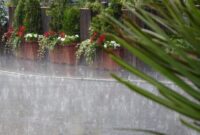 1765559159533-5911c560-06c7-4e37-b096-daf4421553b3_169