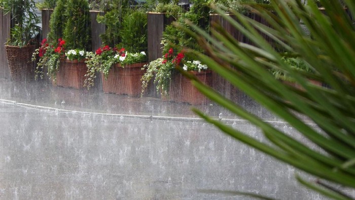 1765559159533-5911c560-06c7-4e37-b096-daf4421553b3_169