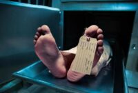 1765623909944-wna-tewas_169