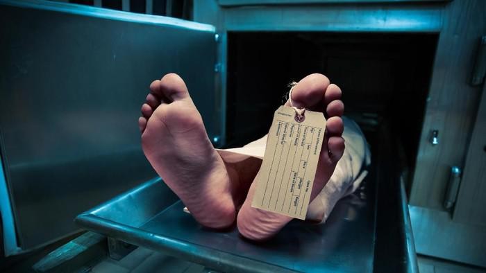 1765623909944-wna-tewas_169