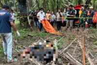 1765645545760-siswa-smk-ditemukan-tewas-membusuk-di-kebun-sawit-tulang-bawang-lampung-1765623926306_169