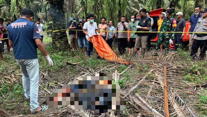 1765645545760-siswa-smk-ditemukan-tewas-membusuk-di-kebun-sawit-tulang-bawang-lampung-1765623926306_169