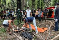 1765645546933-mayat-siswa-smk-di-tengah-kebun-sawit-1765621926862_169